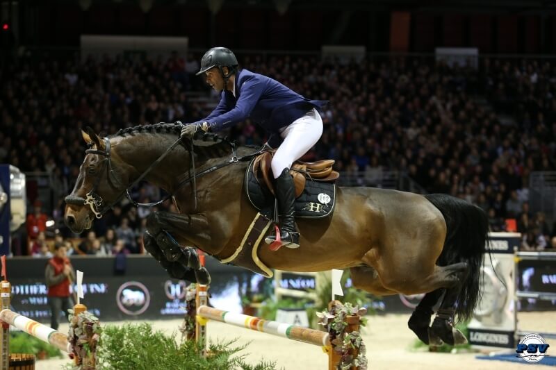 Rubis de Preuilly, une première pouliche 2022 magnifique !