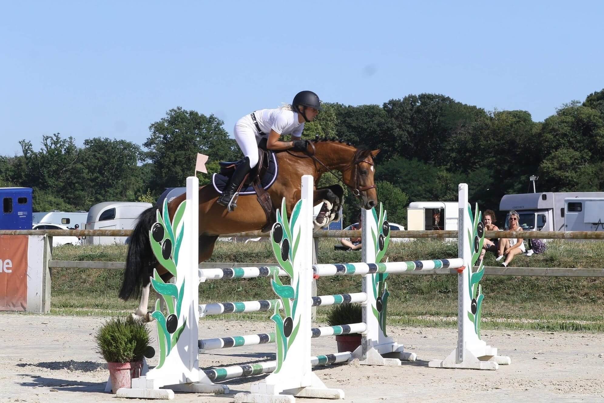 La production de A Flystar des Houx commence à pointer son nez avec de beaux résultats