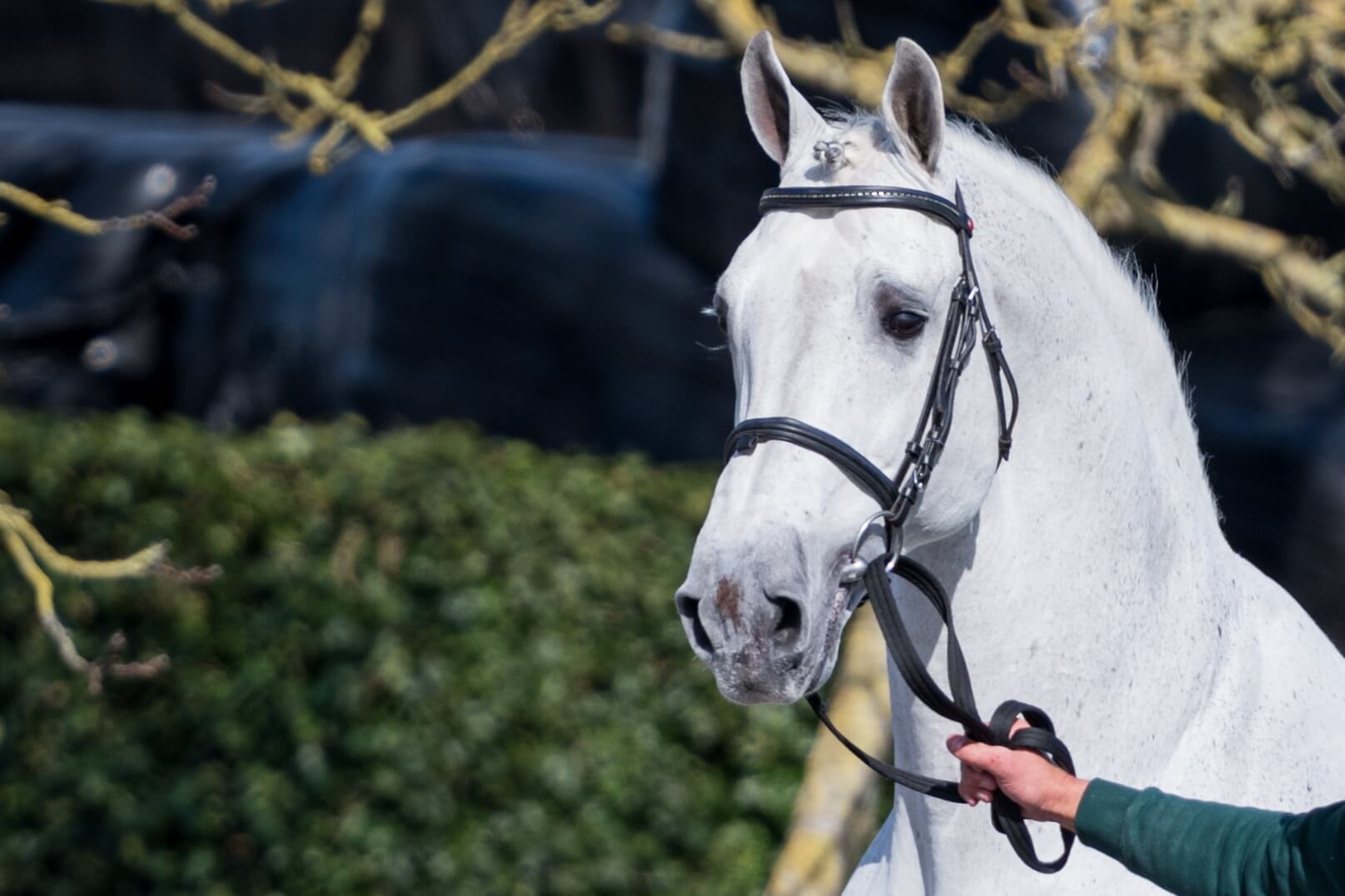Notre sélection 2021 bientôt dans vos boîtes aux lettres et déjà en ligne !