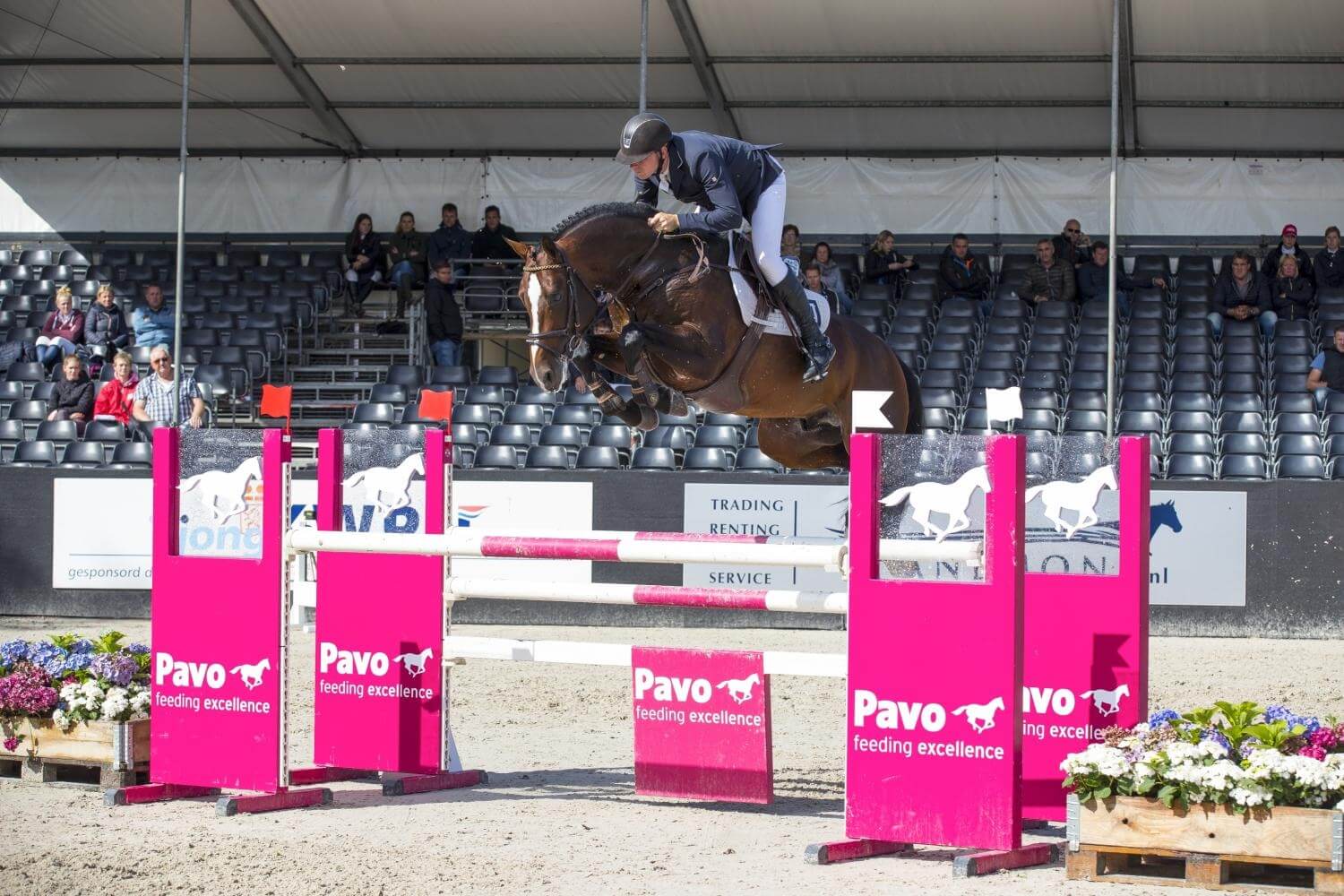 Grand Slam, approuvé par le Selle Français !