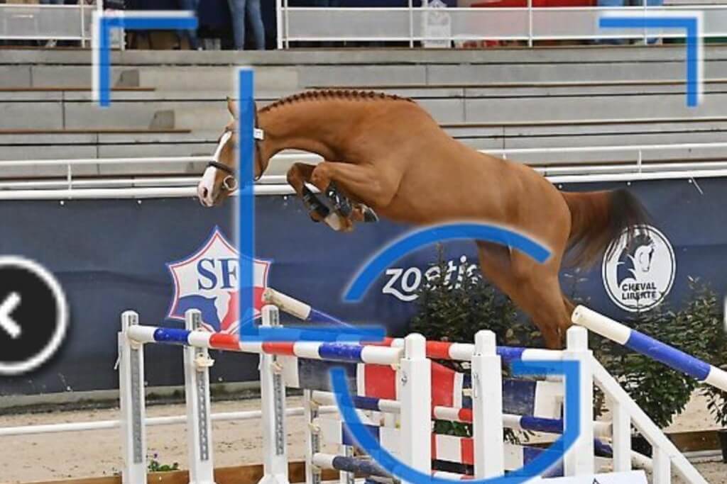 La production d&rsquo;Arezzo VDL à l&rsquo;honneur à St-Lô