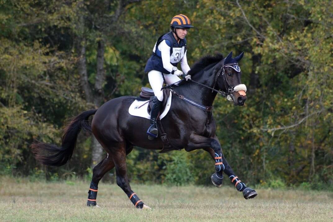 Dallas VDL et Douglas VDL au mondial du Lion 2022