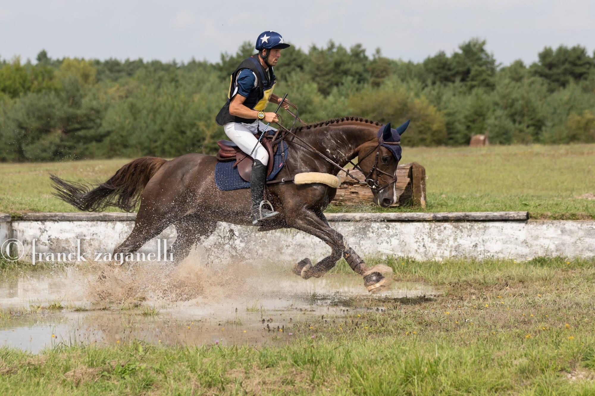 ABSOLUTELY GRAVELOTTE